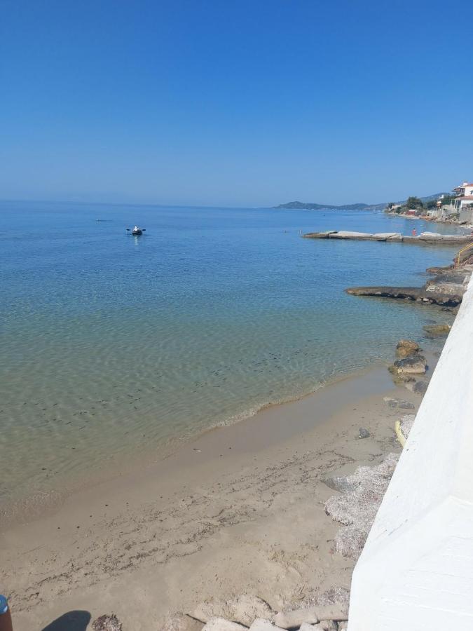 Pansion Alexandros By The Sea Aparthotel Nea Skioni Bagian luar foto