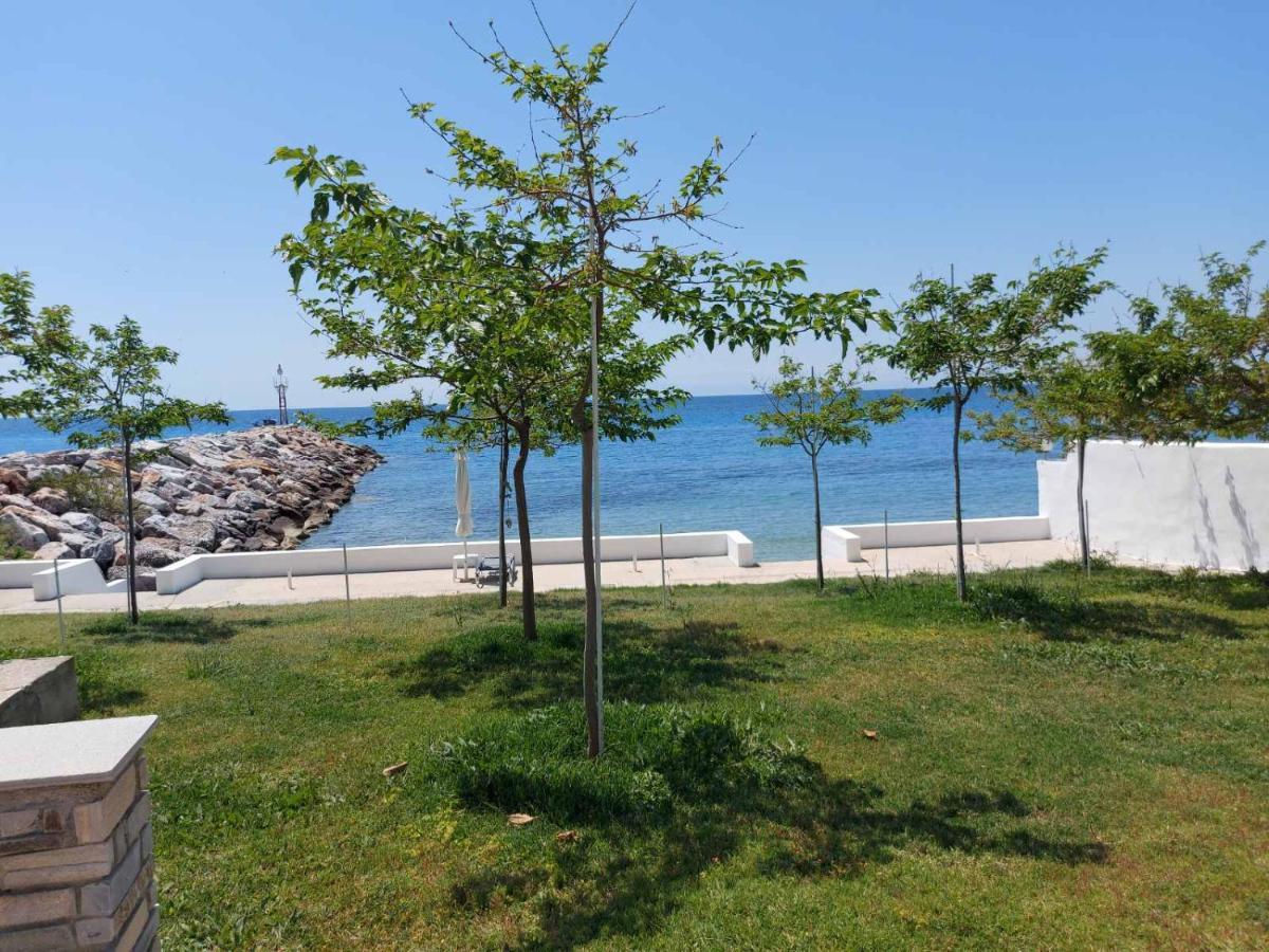 Pansion Alexandros By The Sea Aparthotel Nea Skioni Bagian luar foto