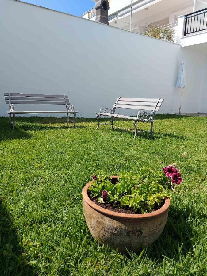 Pansion Alexandros By The Sea Aparthotel Nea Skioni Bagian luar foto